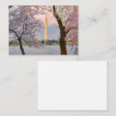 Cherry Blossoms ノートカード (正面/裏面)