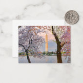 Cherry Blossoms ノートカード (正面/裏面インサイチュ)