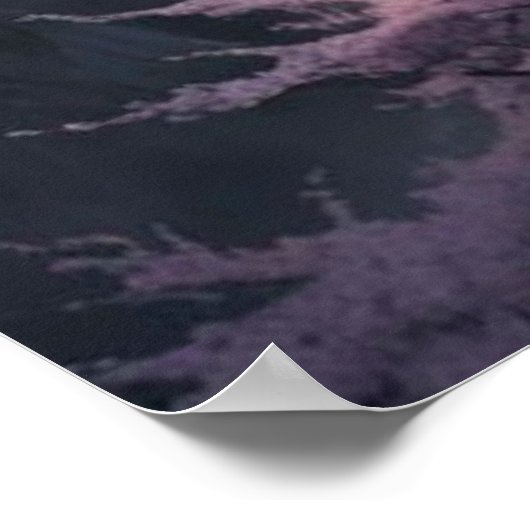 cherry blossoms ポスター (角)