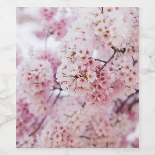 Cherry Blossoms ワインラベル (シングルラベル)