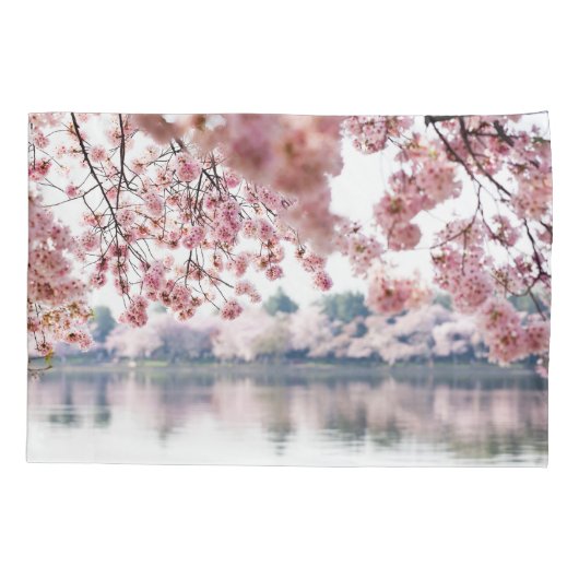 Cherry Blossoms 枕カバー (裏面)