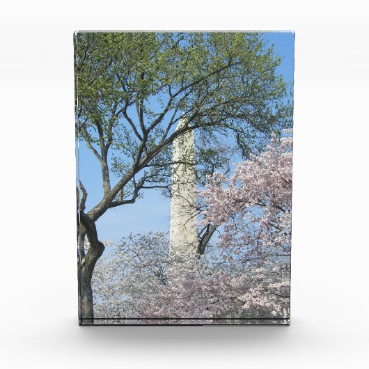 Cherry Blossoms and the Washington Monument フォトブロック (正面)
