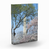 Cherry Blossoms and the Washington Monument フォトブロック (左)