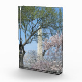 Cherry Blossoms and the Washington Monument フォトブロック (右)