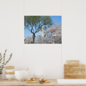 Cherry Blossoms and the Washington Monument in DC ポスター (キッチン)