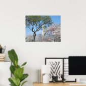 Cherry Blossoms and the Washington Monument in DC ポスター (ホームオフィス)