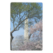 Cherry Blossoms and the Washington Monument in DC ミニクリップボード (裏面)