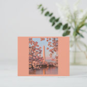 Cherry Blossoms and Washington Monument Postcard ポストカード (スタンド正面)