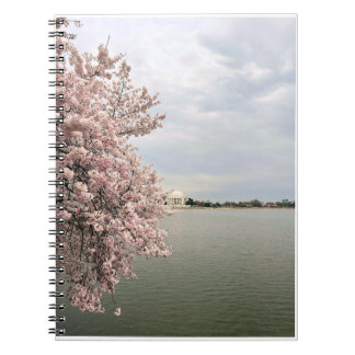 Cherry Blossoms at the Tidal Basin ノートブック