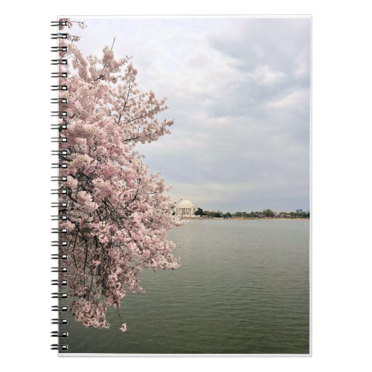 Cherry Blossoms at the Tidal Basin ノートブック (正面)