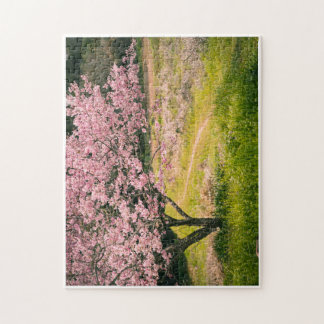 Cherry blossoms blooming in the rural hill ジグソーパズル