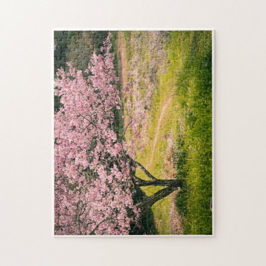 Cherry blossoms blooming in the rural hill ジグソーパズル (縦)
