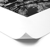 Cherry Blossoms: Meguro River, Tokyo (black/white) ポスター (角)