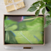 Cherry Cherries Hanging Tree Branches Decoupage  薄葉紙 (ギフト)