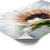 Cherry Rose Sunflower フォトプリント (角)