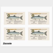 Cherry Salmon (Oncorhynchus masou) – English 長方形シール (シート)