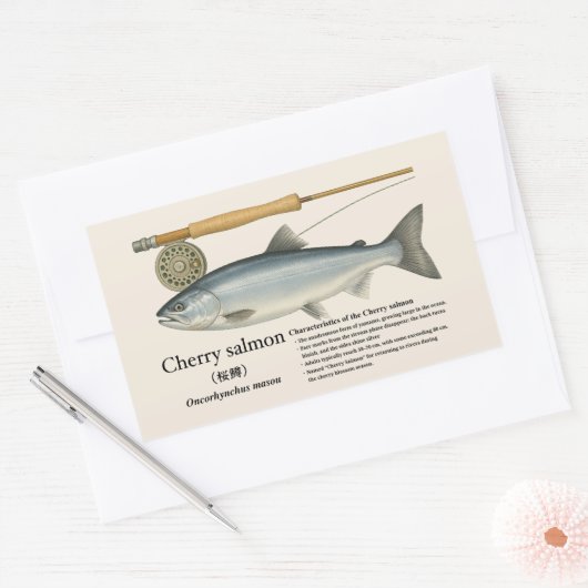 Cherry Salmon (Oncorhynchus masou) – English 長方形シール (封筒)