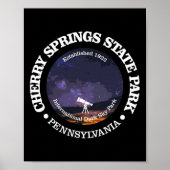 Cherry Springs State Park Shirt Funny Hiking 1922  ポスター (正面)