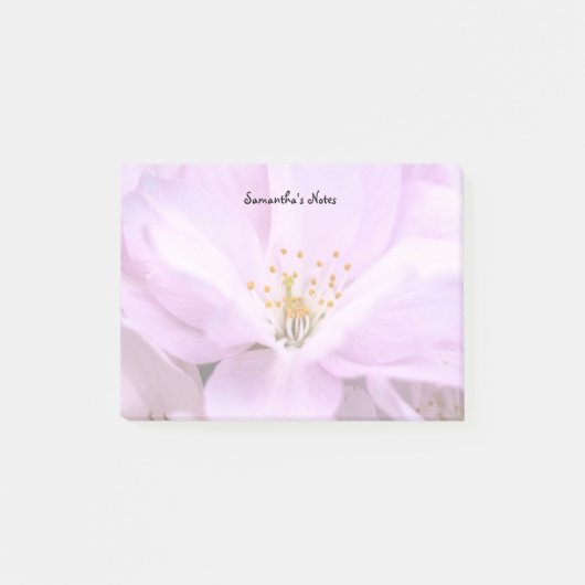 Cherry Tree Blossom Notes ポストイット (正面)