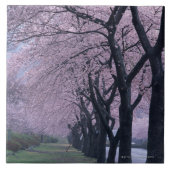 cherryblossomの木の列 タイル (正面)