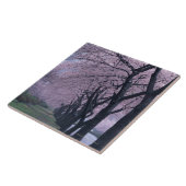cherryblossomの木の列 タイル (側面)