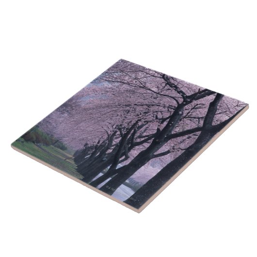cherryblossomの木の列 タイル (側面)