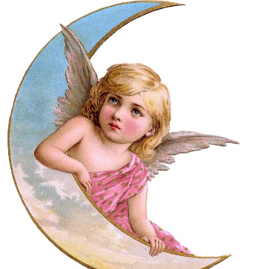 Cherubピンクセラミックプル セラミックノブ