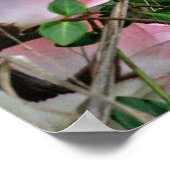 Cherub in the Grass ポスター (角)