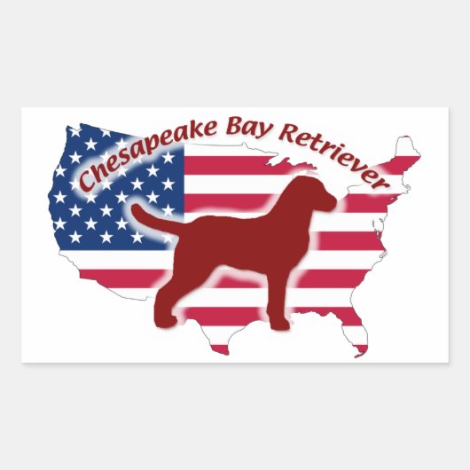 Chesapeake Bay Retriever 長方形シール (正面)