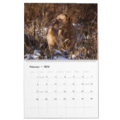 Chesapeake Bay Retriever 2026 Calendar カレンダー (2月 2026)