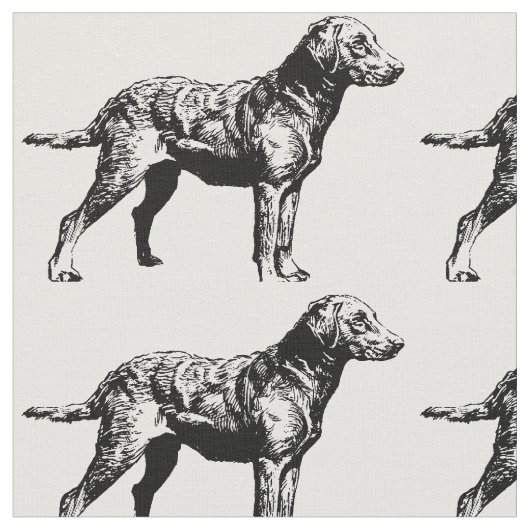 Chesapeake_Bay_Retriever_drawing.png ファブリック (クローズアップ)