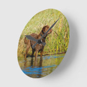 Chesapeake Bay Retriever Hunting Dog Wall Clock ラウンド壁時計 (傾斜)