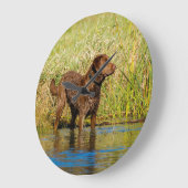 Chesapeake Bay Retriever Hunting Dog Wall Clock ラウンド壁時計 (傾斜)