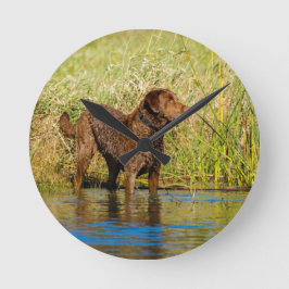 Chesapeake Bay Retriever Hunting Dog Wall Clock ラウンド壁時計