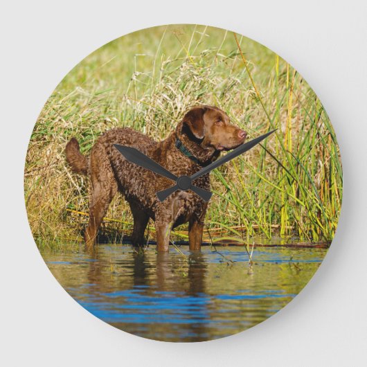 Chesapeake Bay Retriever Hunting Dog Wall Clock ラウンド壁時計 (正面)