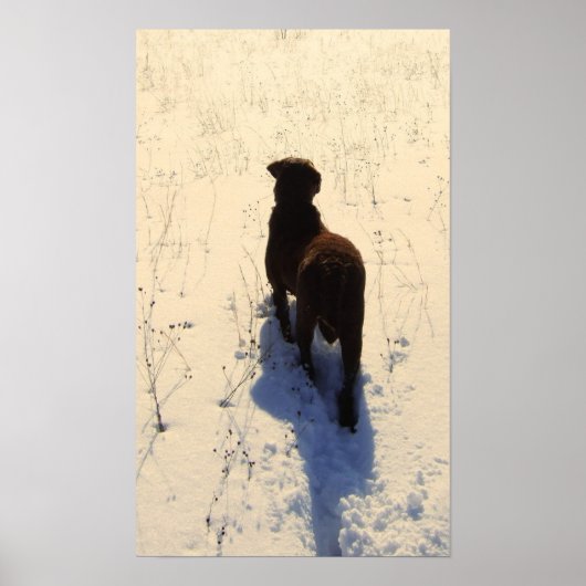 Chessieポスター ポスター (正面)