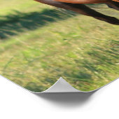 Chestnut Horse Standing Canvas Print ポスター (角)