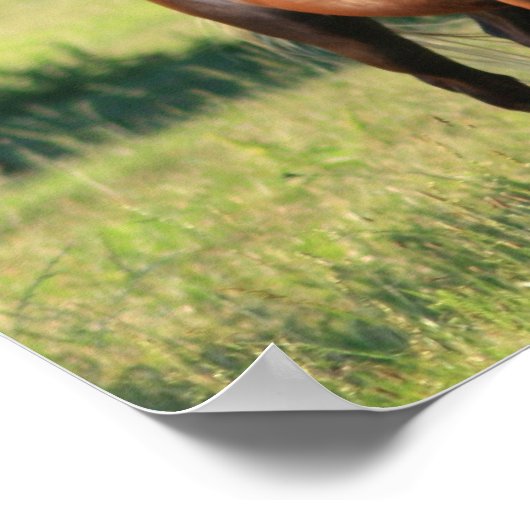 Chestnut Horse Standing Canvas Print ポスター (角)