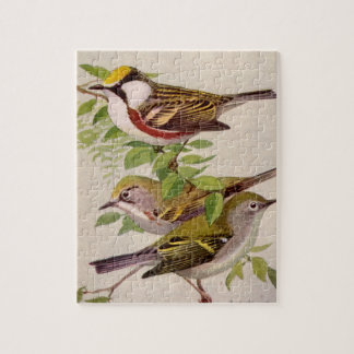 Chestnut-sided Warbler by Louis Agassiz Fuertes ジグソーパズル