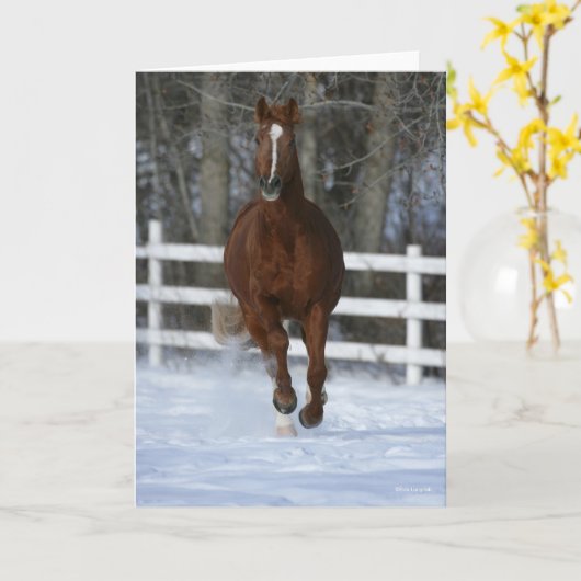 Chestnut Trakehner Stallion In The Snow カード (黄色い花)