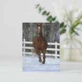 Chestnut Trakehner Stallion In The Snow ポストカード (スタンド正面)