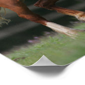 Chestnut Welsh Pony Mane and Tail Flowing ポスター (角)