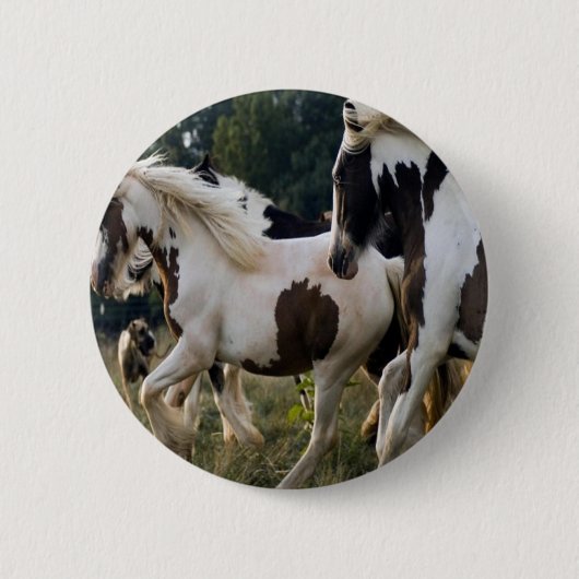 CHEVAUX NOIR ET BLANC 1.PNG 缶バッジ (正面)