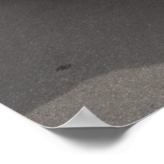 Chevrolet Corvette ポスター (角)