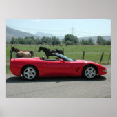 Chevrolet Corvette Convertible C5 ポスター (正面)
