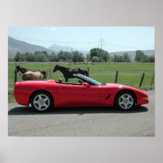 Chevrolet Corvette Convertible C5 ポスター