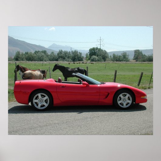 Chevrolet Corvette Convertible C5 ポスター (正面)