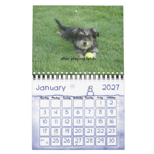 Chewie: イメージの年 カレンダー (1月 2027)