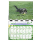 Chewie: イメージの年 カレンダー (3月 2027)