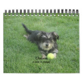 Chewie: イメージの年 カレンダー (カバー)